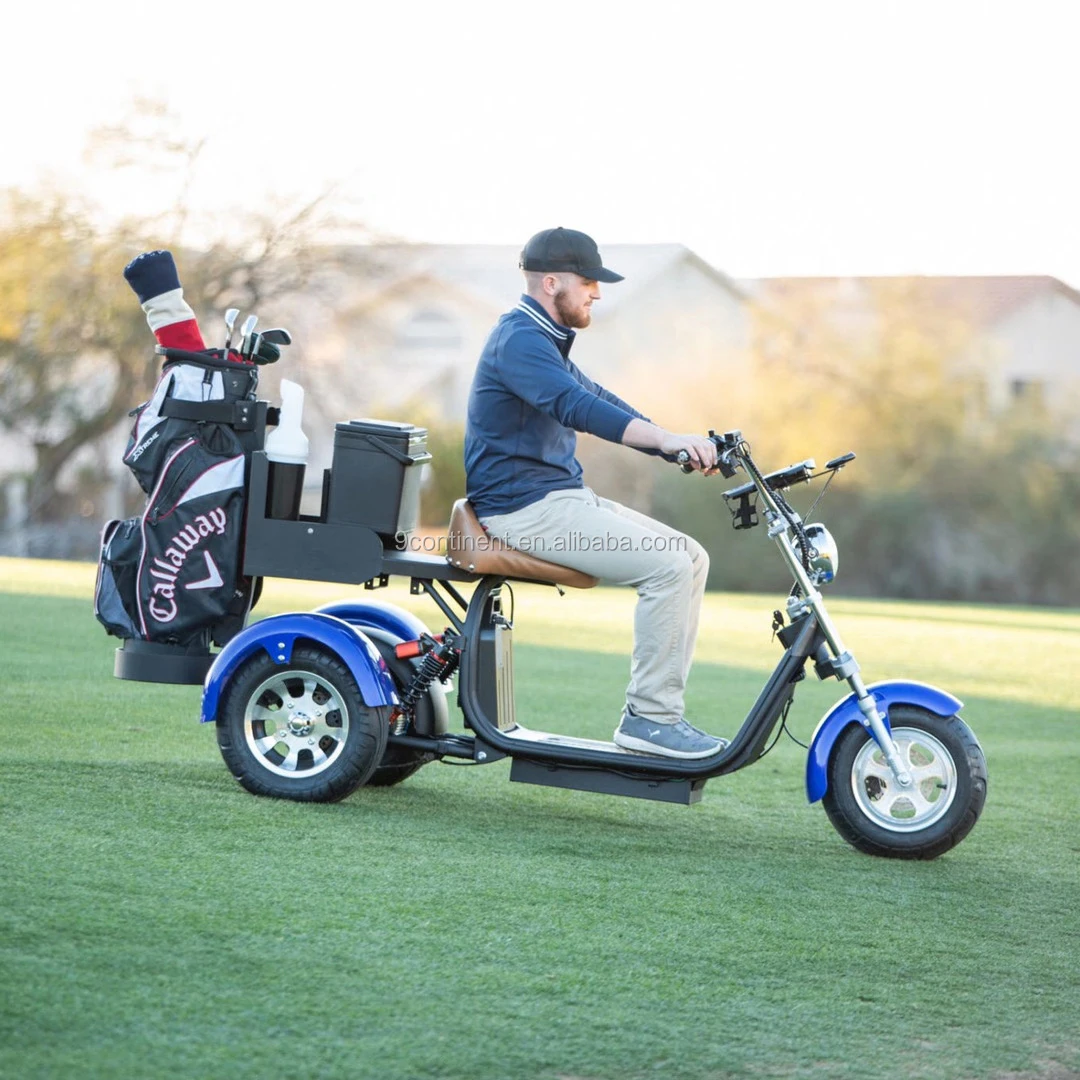 2020 Coc/eec Standard Electric Tricycles Scooter For Citycoco Adult 3