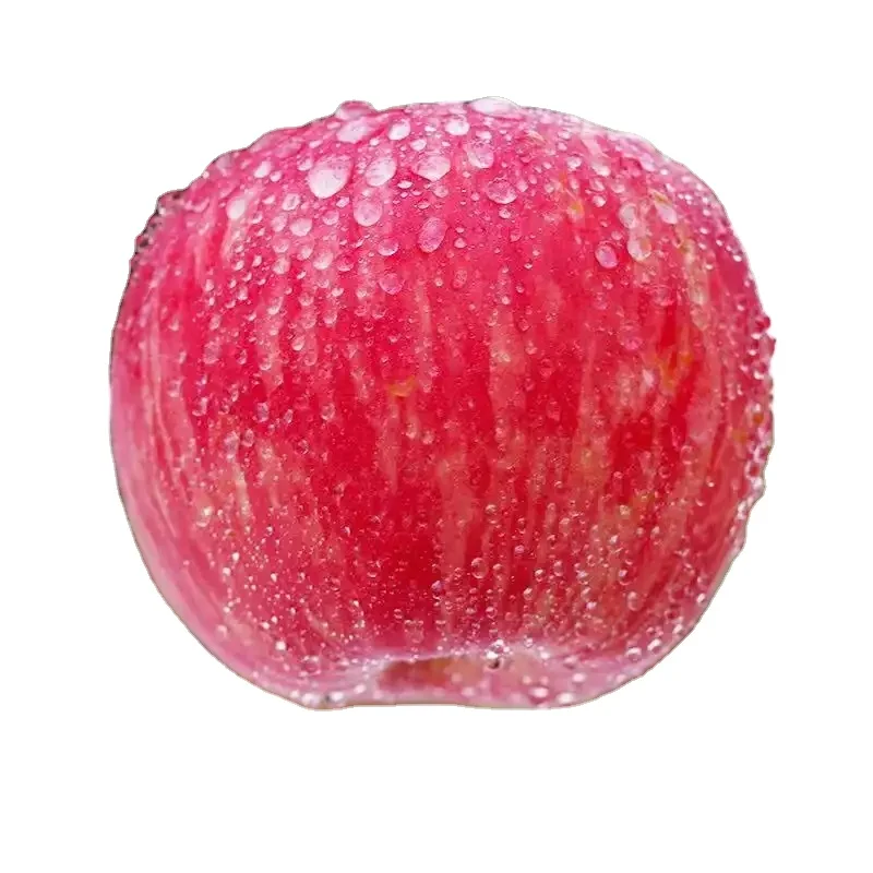 
Cheap Hot Sale Top Quality Fruit Red Fuji Bulk Fresh Apple 