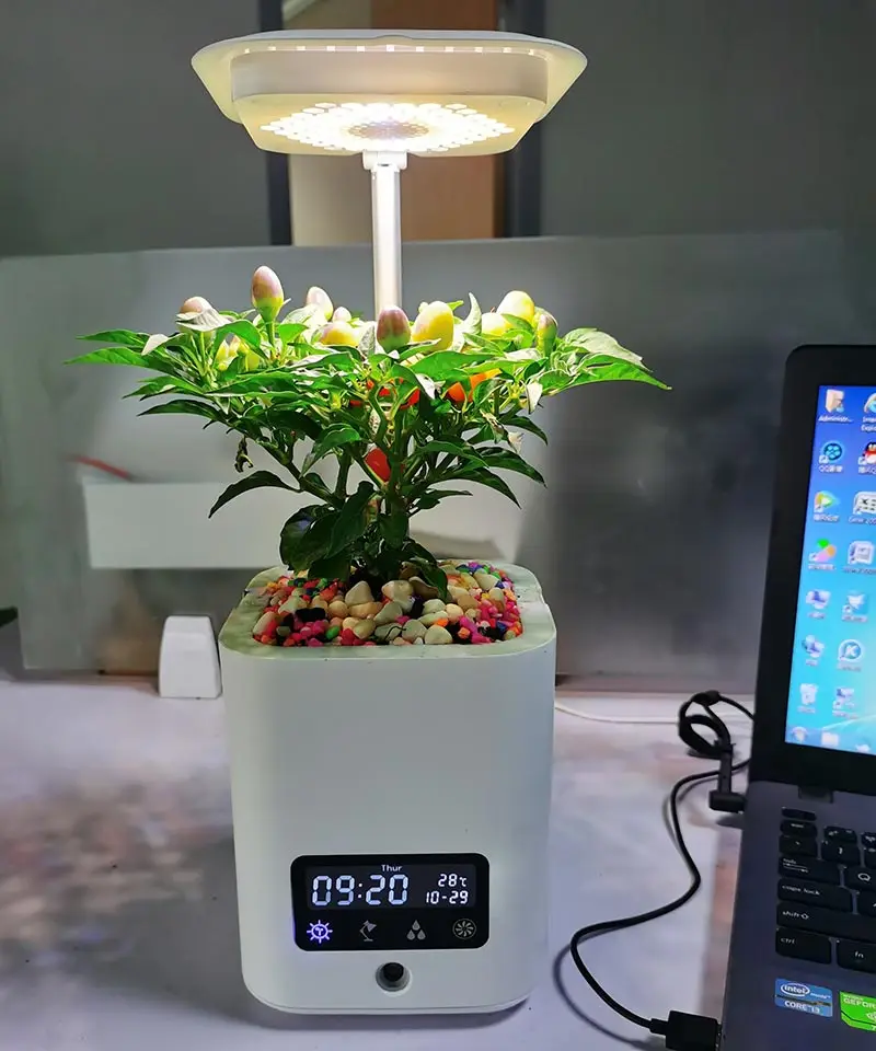 Micropropagation Plant Tissue Culture Best Led Grow Lights 2021 Lamps Led Lights For Growing