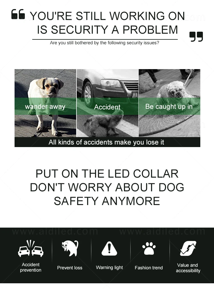 Metal Pin Buckle Led Dog Collar USB Rechargeable Flashing Dog Collar Light Match with Dog Harness HIgh Quality Led Pet Collar
