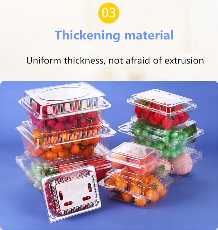 Clamshell Containers (14).jpg