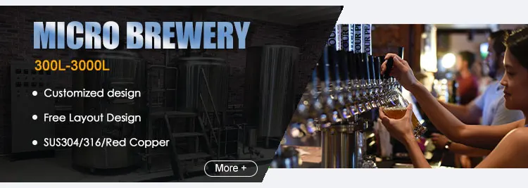1000L 10HL craft beer brewing equipment beer production line