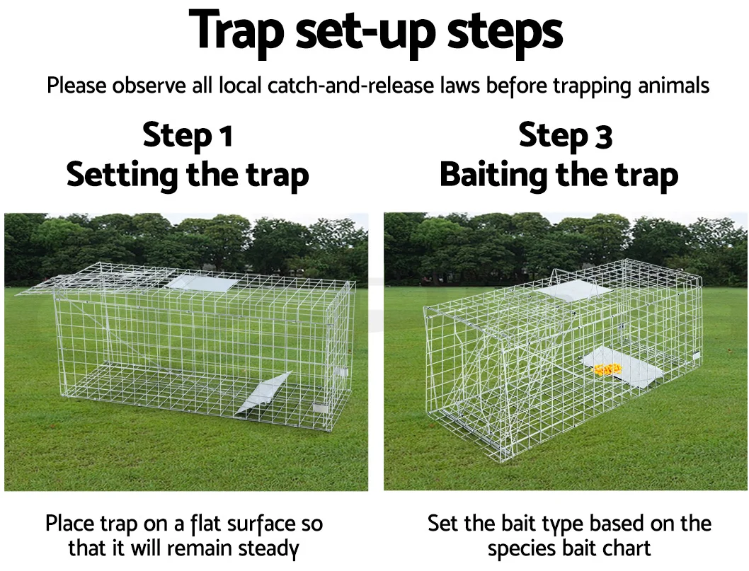 Animal Traps 9.png
