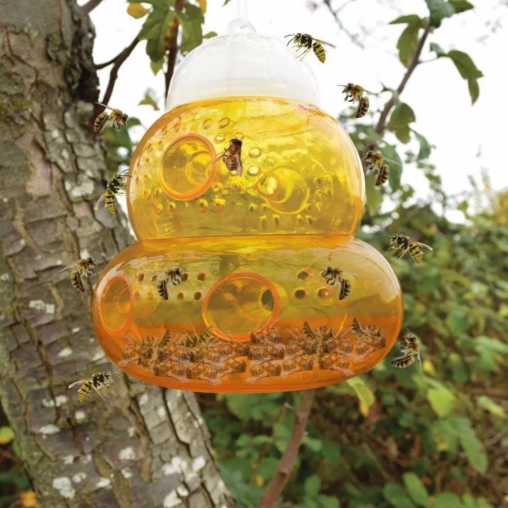 Bee Catcher Beehive Wasp Trap Hornets Yellow Jackets Wasp Repellent ...