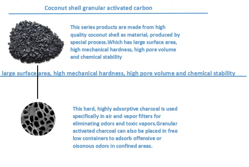 paste-pic-dp_uuid_odaxn