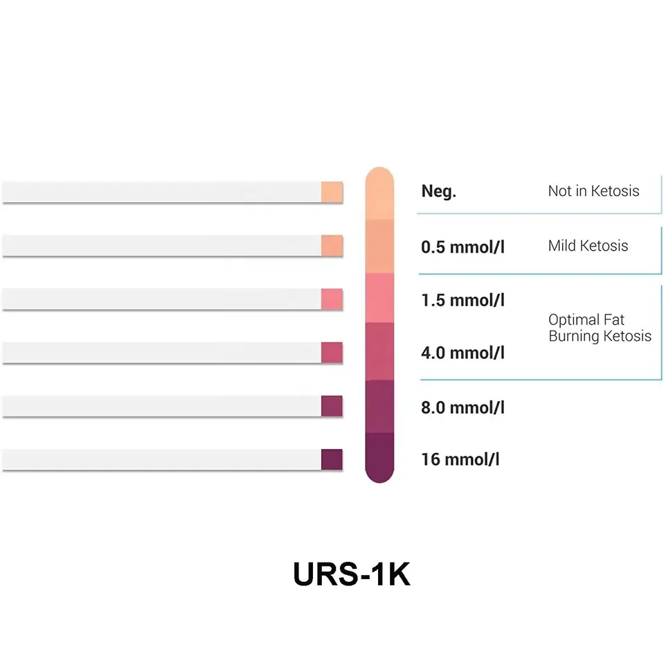 Urs1k Ketone Test Strips Keto Diet And Ketogenic Measurement Buy Ketone/rapid/body/builder