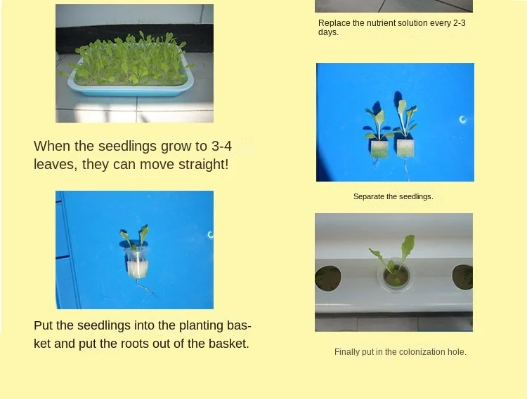 Indoor Automatic Aquaponic Systems 63mm PVC Pipes Growing Farming Equipment White NFT Channel Hydroponic Agriculture Planting details