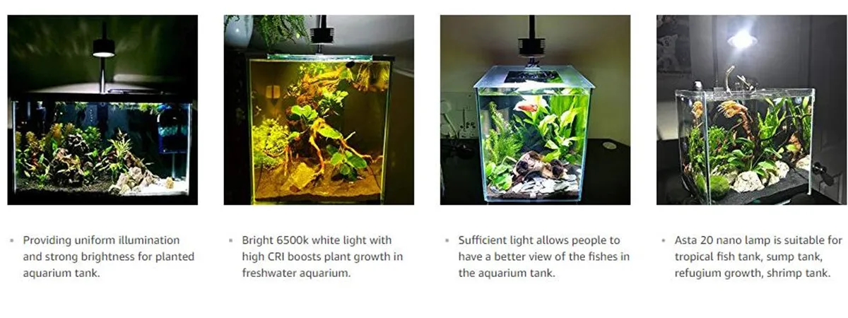 15w淡水水族馆光环圆形鱼缸种植水族馆led灯小型迷你水族馆led照明 Buy 水族馆灯环 种植水族馆led灯 水族馆led照明product On Alibaba Com