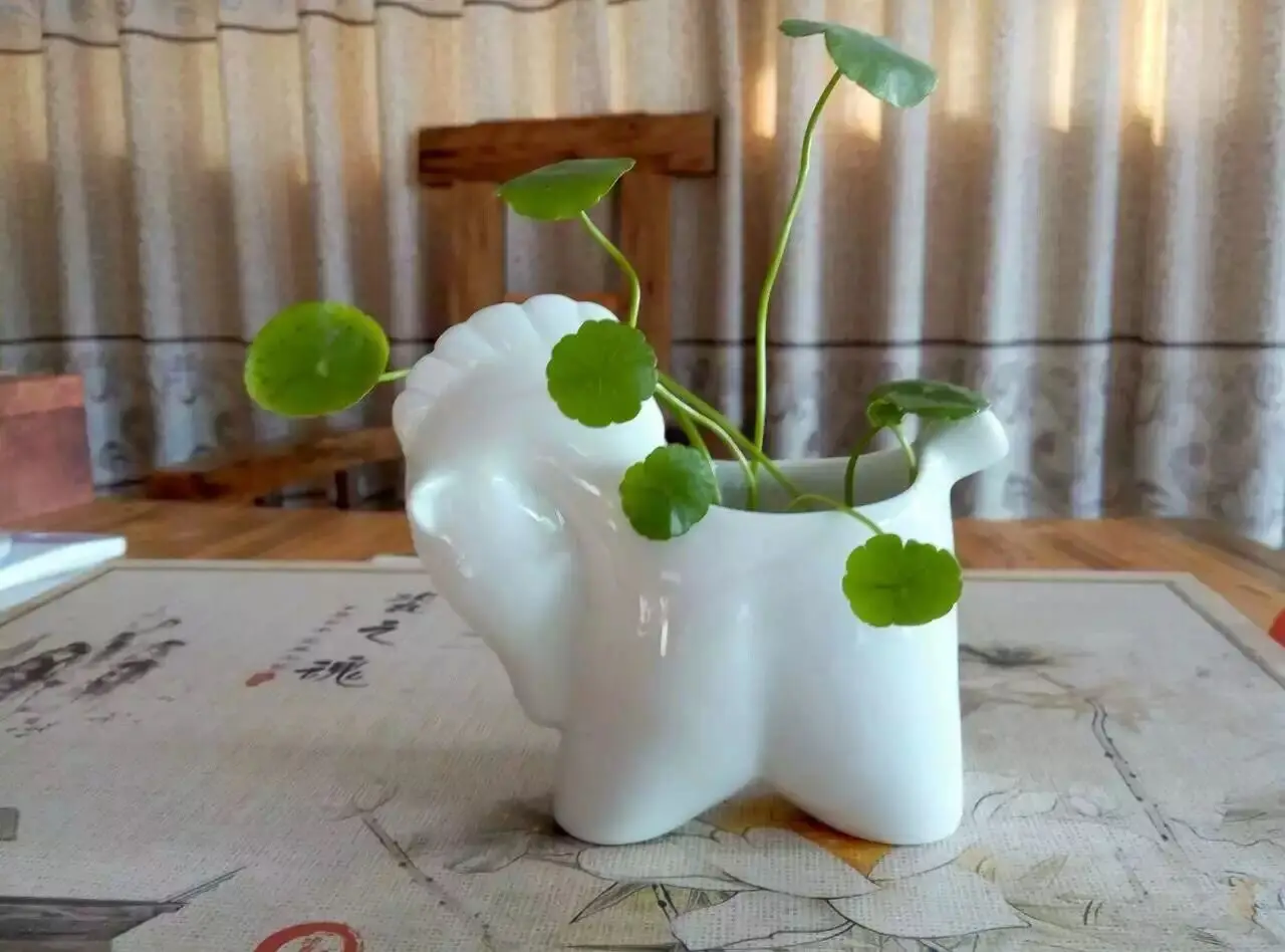 0B9C605D-E0D0-4213-8491-F4506D63112F