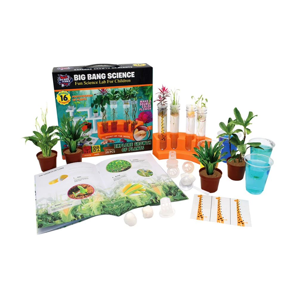 Explore The Mysteries Of Plant Growth Educational Learning Toy For Kids