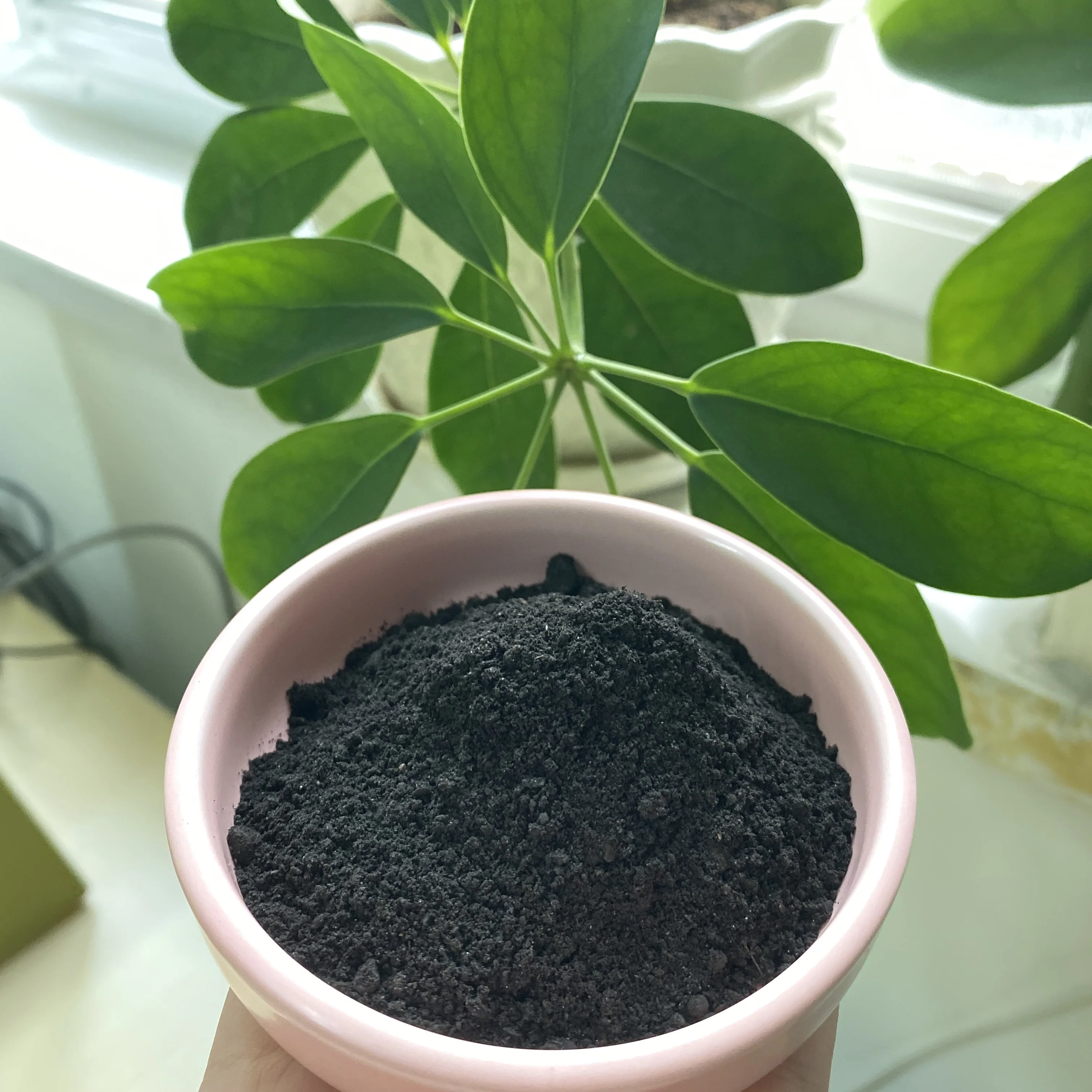 农业有机肥料鸡粪价格便宜