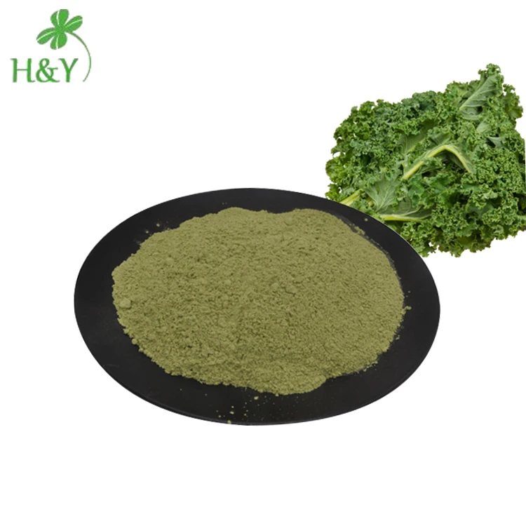 Wholesale 100 Pure Natural Kale Powder Extract Kale Powder Organic