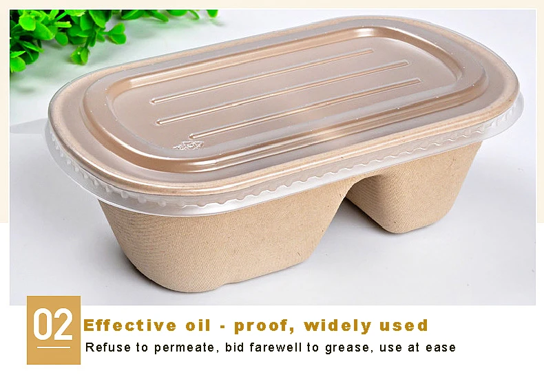 Biodegradable Disposable Eco Containers Food Box,Carryout Lunch Meal Takeout Storage Food