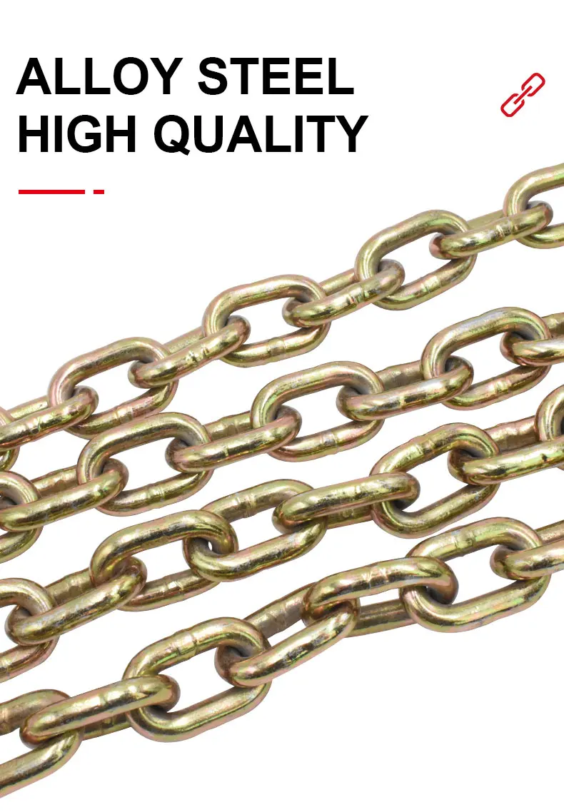 transport chain (4).jpg