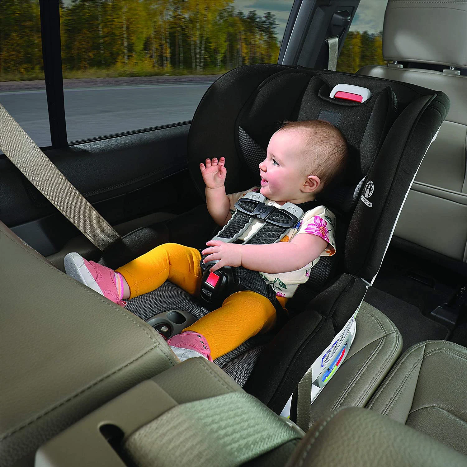 Rear facing car Seat