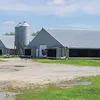 Steel structure farm broiler poultry shed construction design chicken house