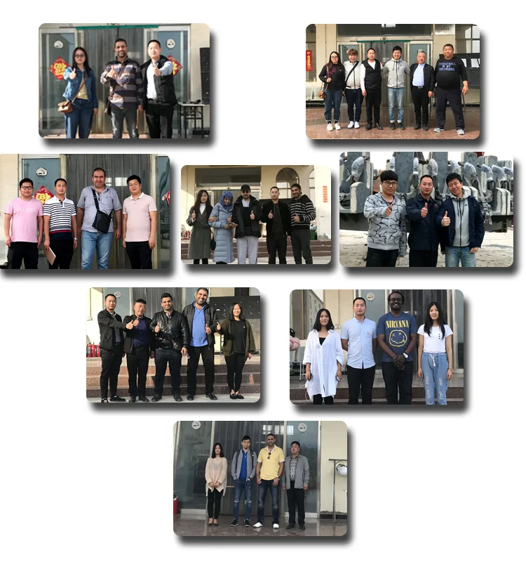 Shenlong Manufacturer Amusement Park Trackless Train for children 2.jpg