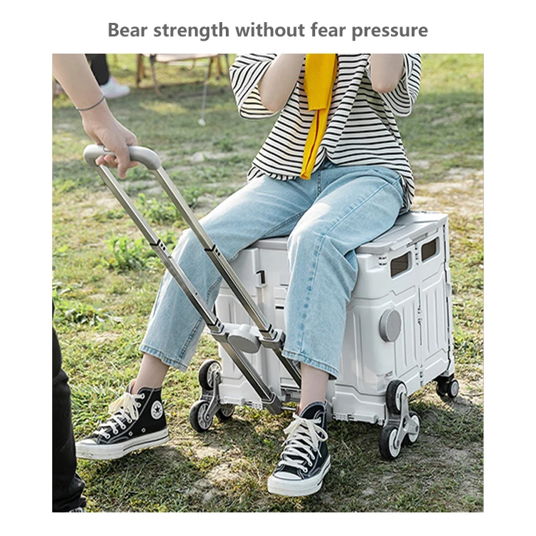 Shopping Trolley Shopping Trolley Supermarket To Buy Vegetable Artifact