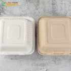 Eco Friendly Biodegradable Packaging Bagasse Sugarcane Pulp Lunch Box
