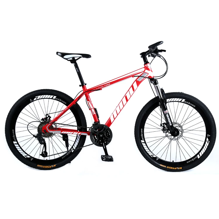 Mountain bike (3)