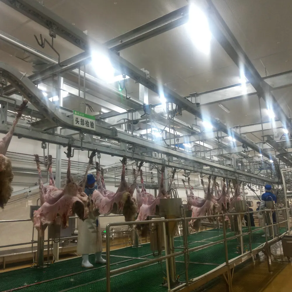 Meat Rrail System Sheep Slaughterhouse Overhead Meat Conveyor System – Efficient Meat ...
