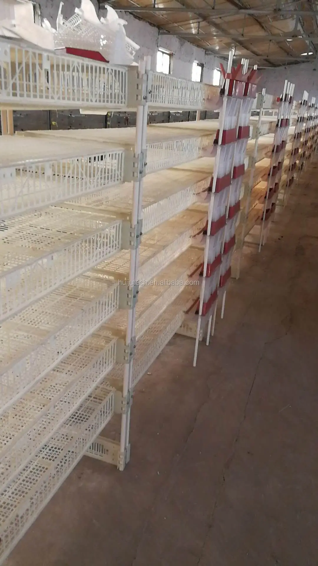 Long Life Automatic 200300 Quails Cage For Sale Philippines For Quail
