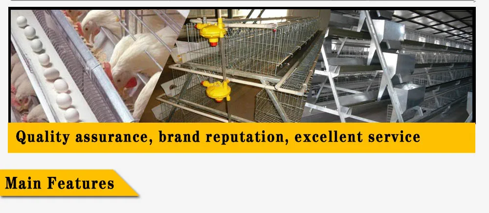 Build Sale Automatic Industrial Cheap Layer Large Portable Chicken Coop House Layer Cage for Laying Hens Run Coop Metal Hot