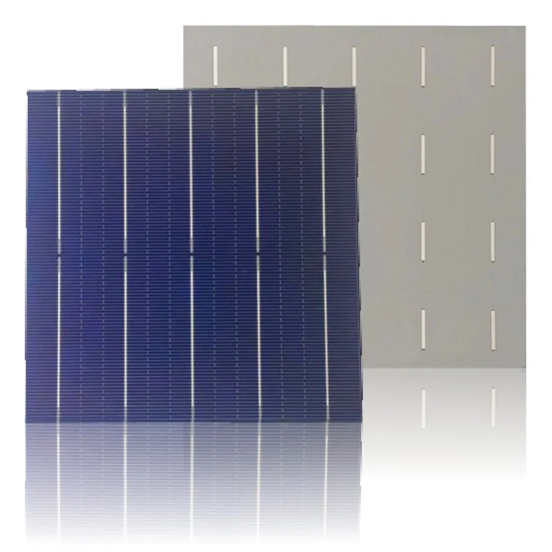 Silicon cells. Silicon cells