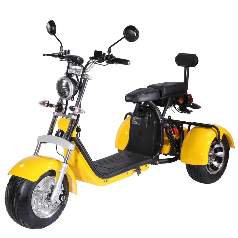 EEC/COC Certificated Electric Tricycles 1500W 12AH/20AH Three wheel Electric Scooters Citycoco Adults