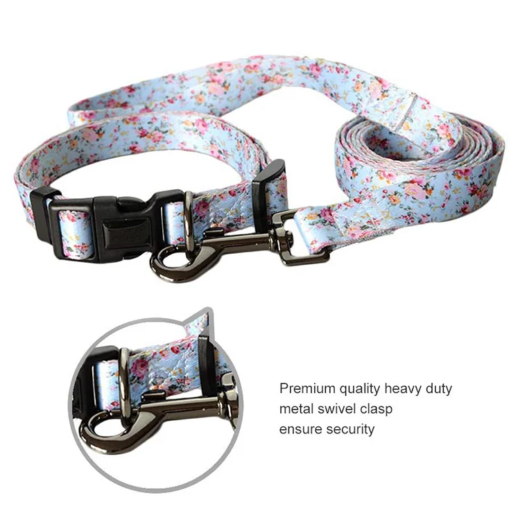 Pet Collar-76