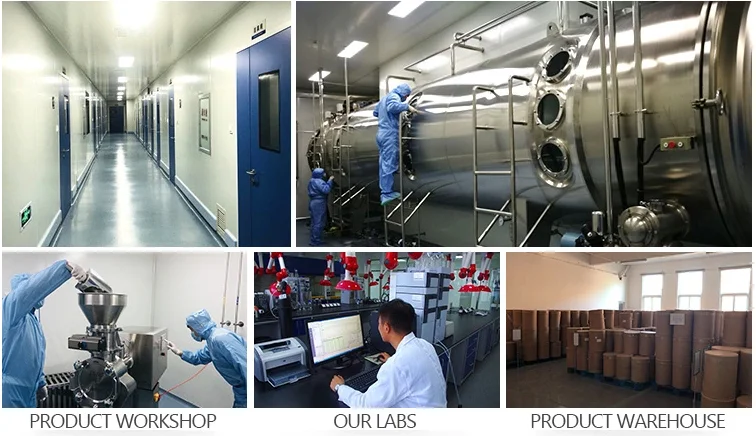 paste-pic-dp_uuid_pdk2v