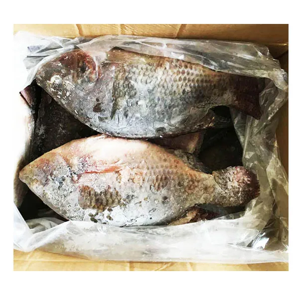live fish wholesale
