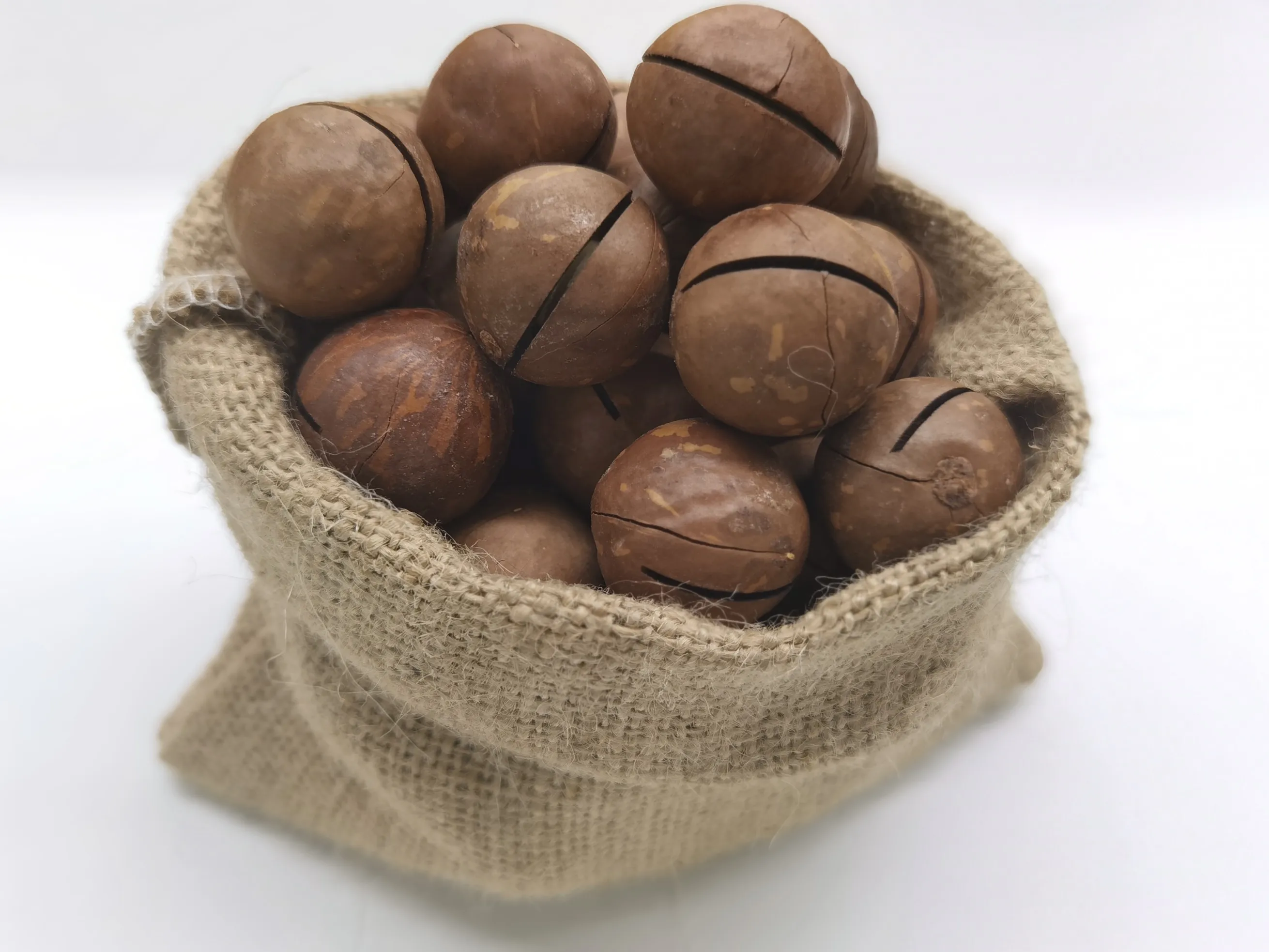 2020 New Crop Wholesale Factory Supply Premium Roasted Cream Macadamia