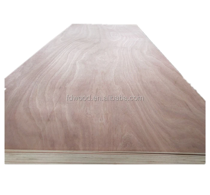 sapele ply_