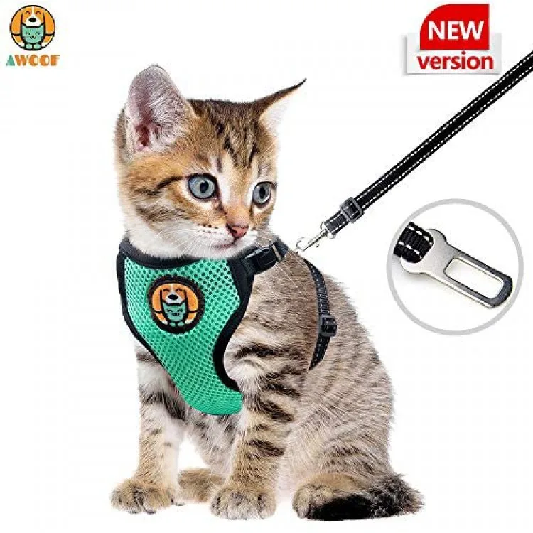 Chaton Harnais Et Laisse Echapper A La Preuve Reglable Chat Chaton Chiot Veste De Marche Avec Laisse En Metal Anneau Doux Respirant Buy Chaton Harnais Et Laisse Laisse Echapper Preuve Reglable Chat Chaton Product