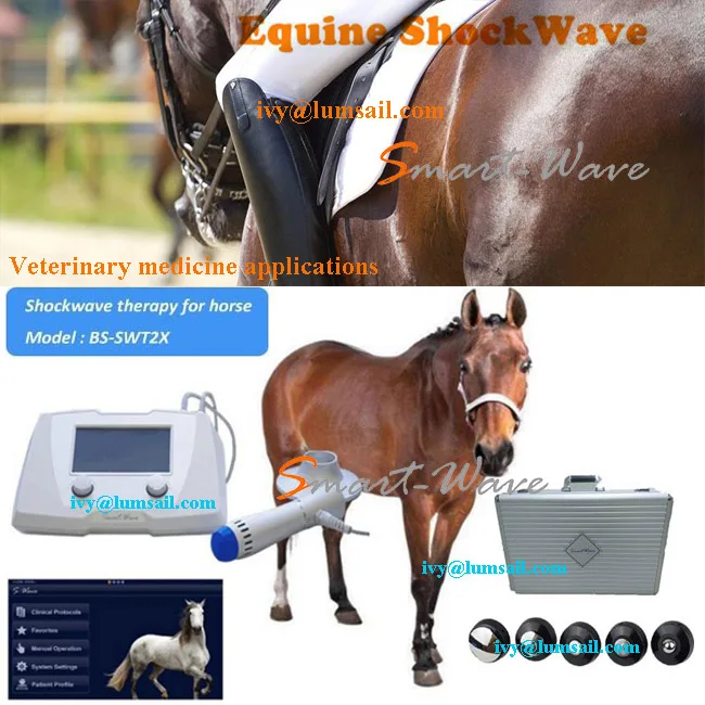 Veterinary Medical Shock Wave Therapy Equipment For Rehabilitating