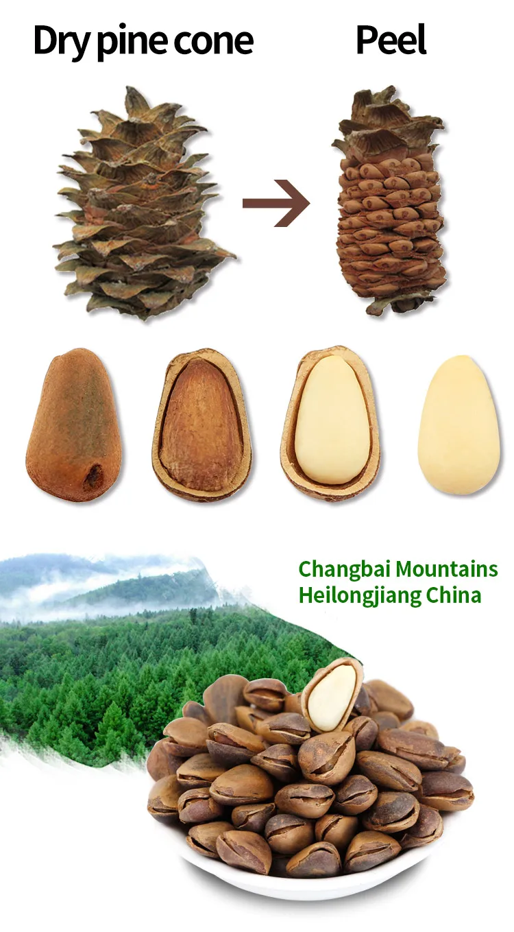 Roasted Open Pine Nut/pine Seed/pine Nuts Low Prices Buy Pine Seed