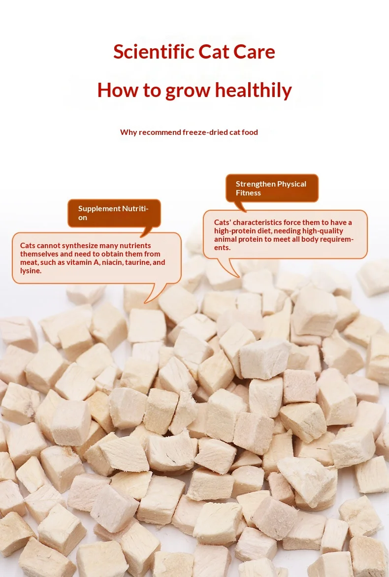 Pet Freeze-Dried Chicken Breast Cat Snacks Weifang Origin Staple Food details