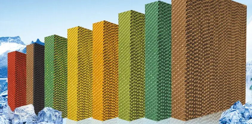 honeycomb pad online