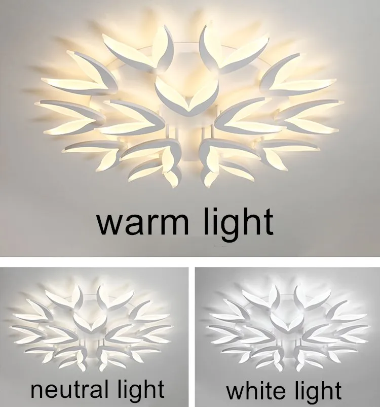 Creative shape indoor led ceiling light acrylic led ceiling mount light with remote control led lighting for living room