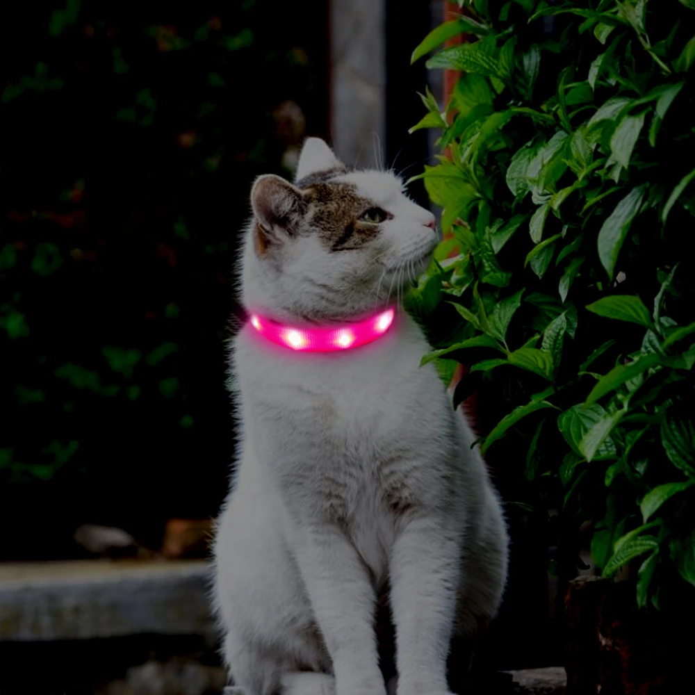 Pet Accessories New Optical Fiber Led Cat Light Collars Buy New