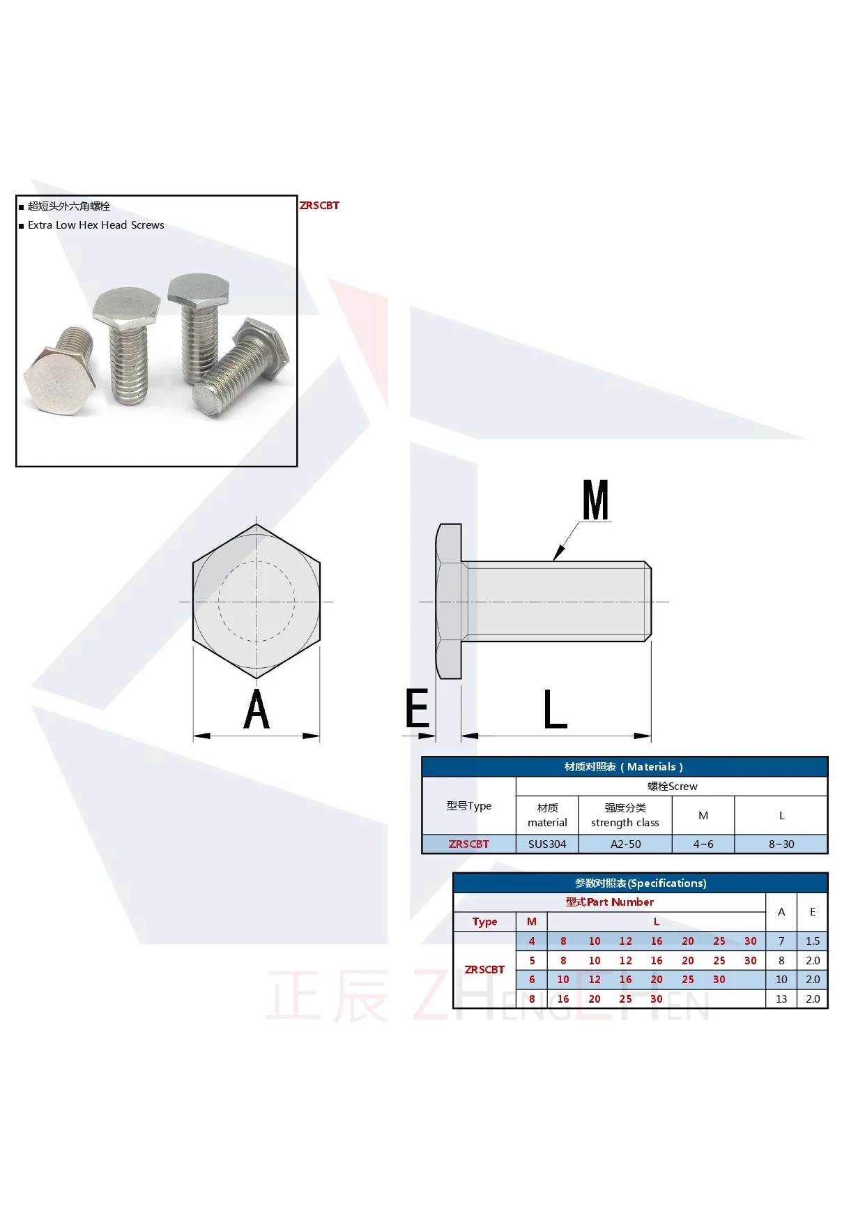 product professional standard rscbt m4 m5 m6 m8 customize length 304 stainless steel extra low hex head screws factory price-47