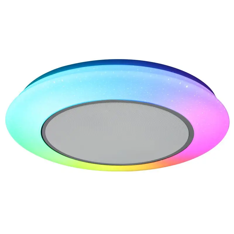 Music Smart Remote Control 24W 36W 48W RGB RGB LED Ceiling Light for Living Room Home