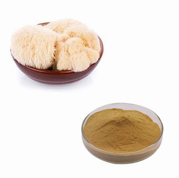 medical grade lions mane mushrooms original extract powder of