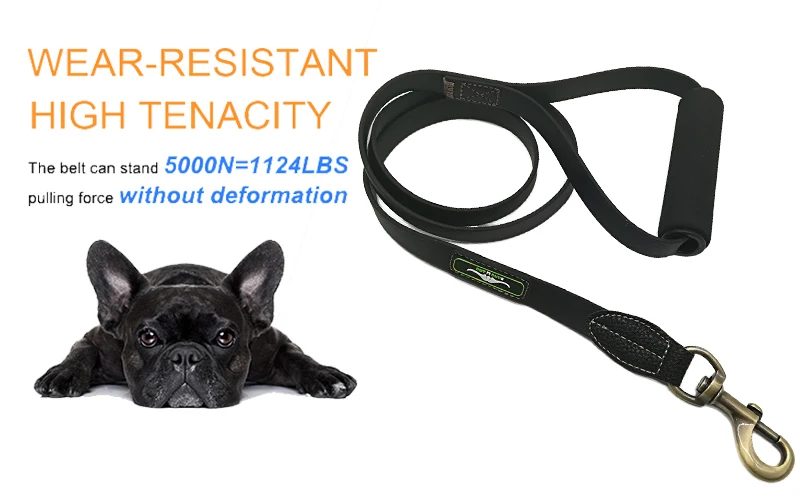dog leash with ruuber handle