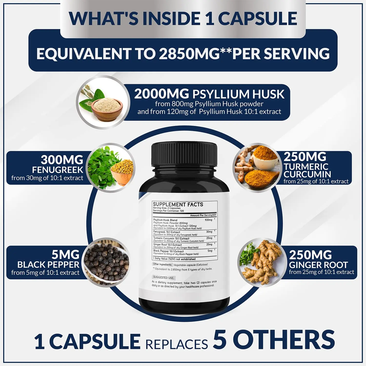 Premium Psyllium Husk Capsules With Fenugreek & Turmeric & Ginger
