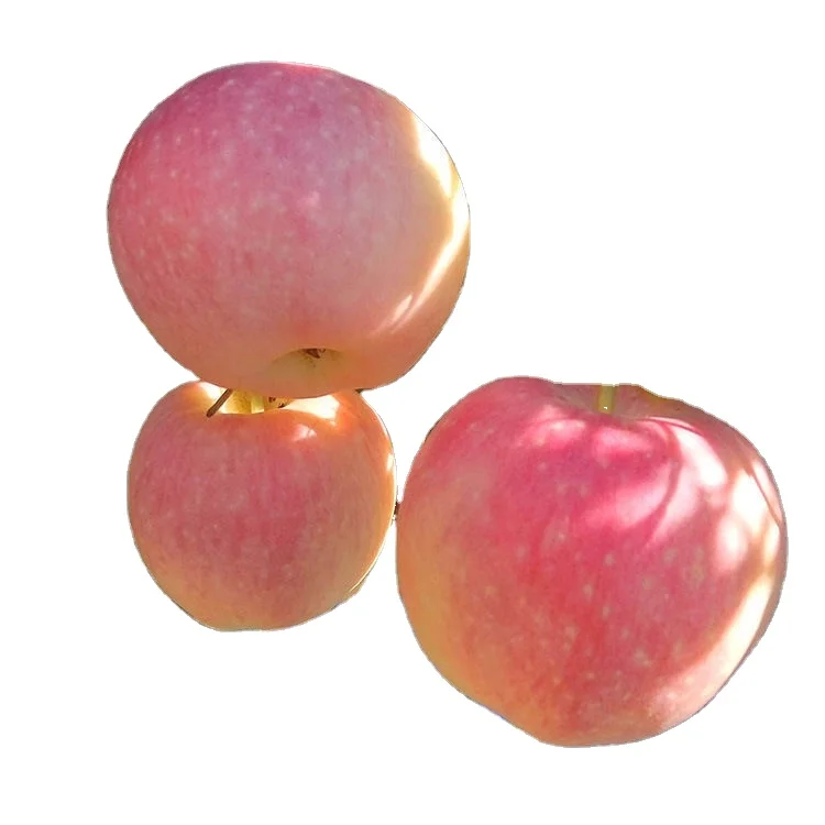 
Wholesale New Arrival Organic Healthy Food Chinese Royal Delicious Red Gala Apple 