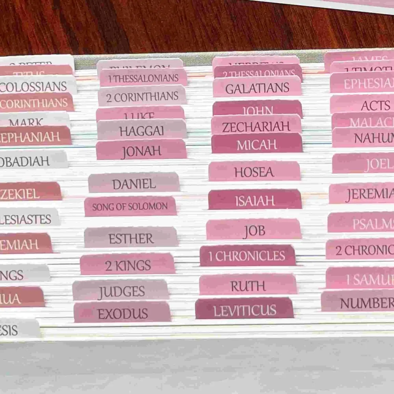 Custom Laminated Bible Personalized Bible Journaling Tabs,66 Book Tabs