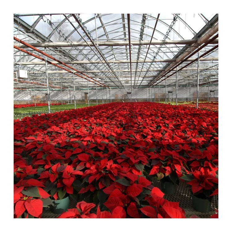 greenhouses polycarbonate professional