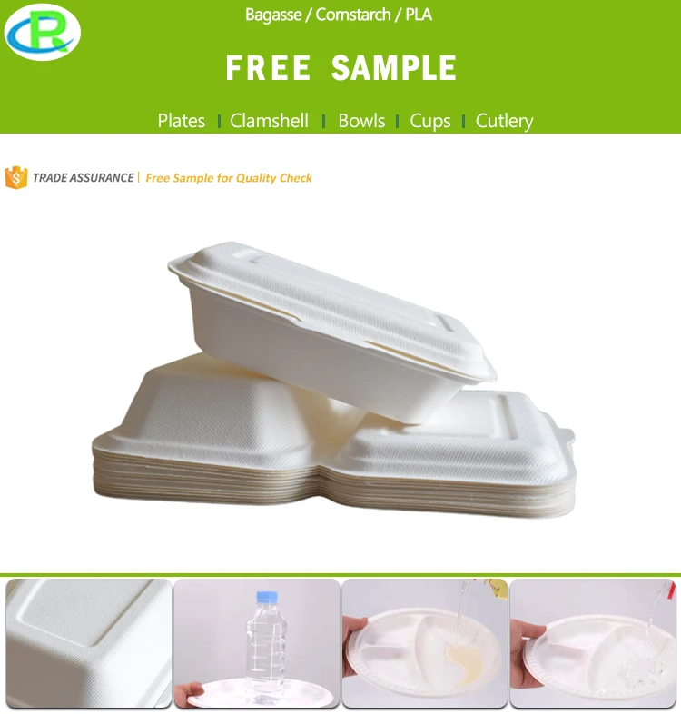 100% Biodegradable Home Compostable Eco-friendly 9*6 Inch 2 Compartments Sugarcane Bagasse Food Container